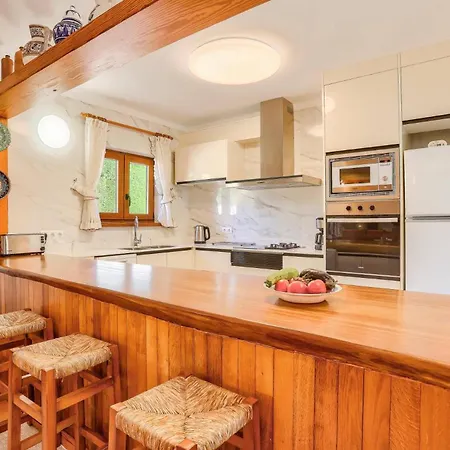 Victoria Musical By * 波连萨港